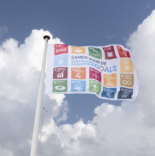 sdg vlag