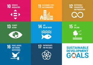 SDGs 10-17