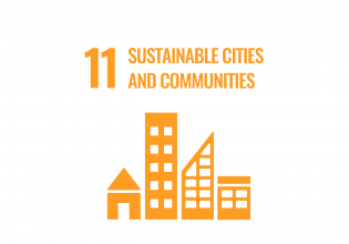 SDG 11 Den Haag sustainable cities and communities