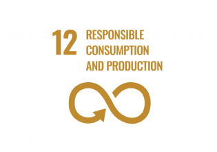 SDG 12 The Hague responsible consumption and production