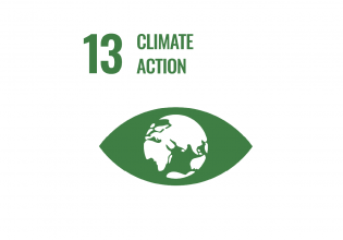 SDG 13 The Hague climate action