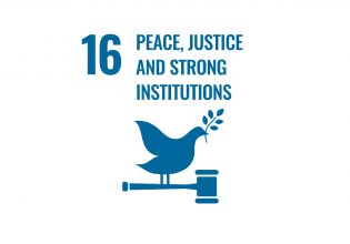 SDG 16 Den Haag peace, justice and strong institutions