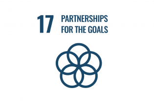 SDG 17 The Hague partnerships for the goals