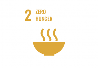SDG 2 zero hunger den haag