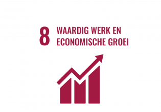 SDG 8 Den Haag waardig werk en economische groei