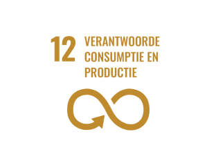 sdg 12 den haag verantwoorde consumptie en productie