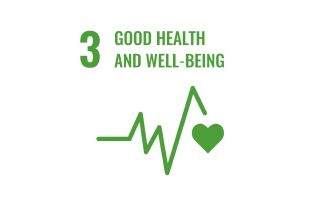 SDG 3 Good health and wellbeing The Hague