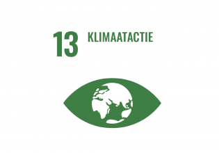 sdg 13 den haag klimaatactie
