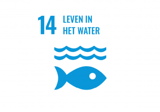 SDG 14 Den Haag leven in het water SDG 14 Den Haag leven in het water