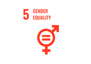 SDG 5 gender equality the hague