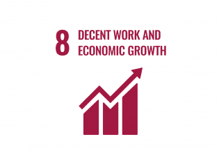 SDG 8 The Hague decent work and economic growth