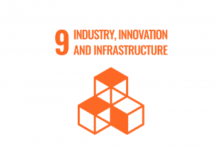 SDG The Hague 9 infrastructure innovation and industry