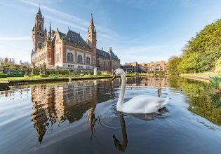 Peace Palace