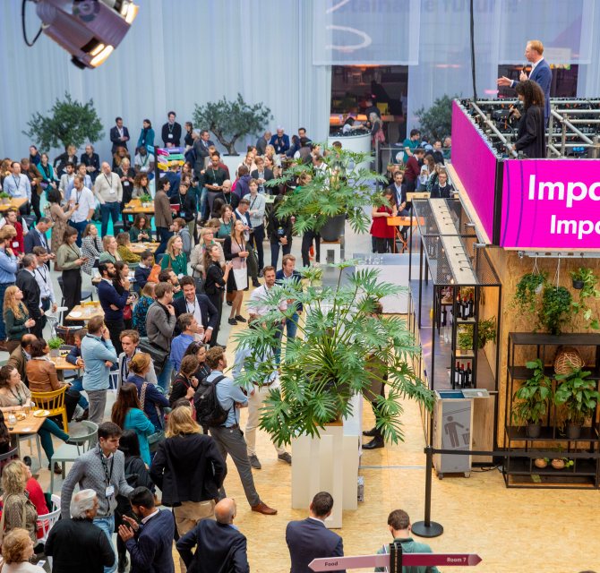 Impact Fest - sfeerimpressie