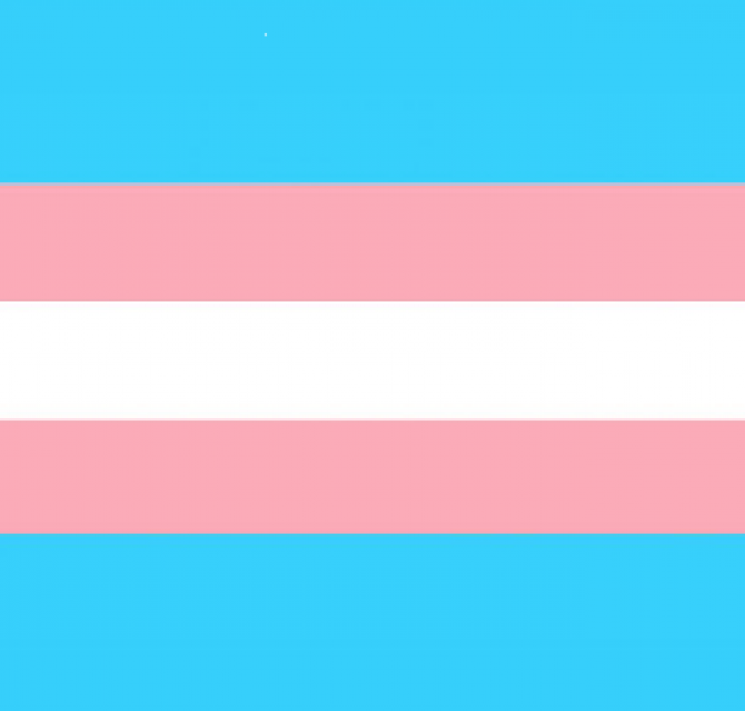 Transgender / genderinclusief