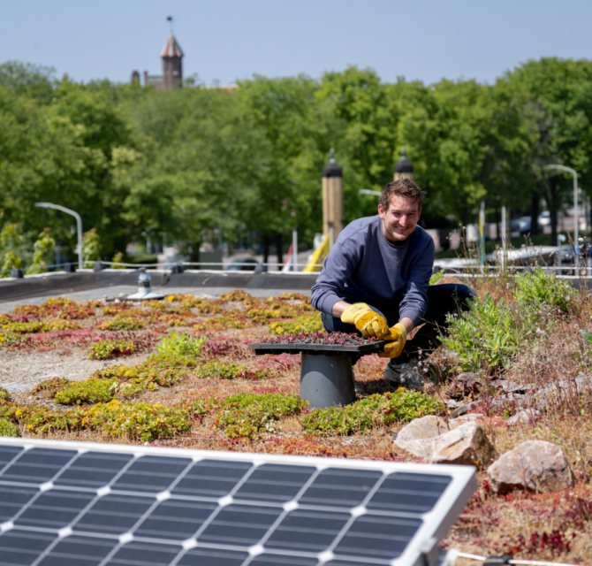 Zonnepanelen en groen dak