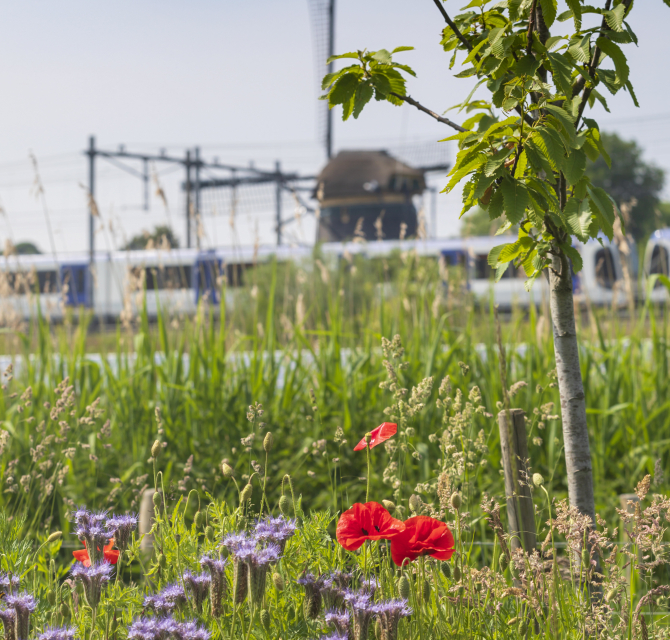 De compostbakkers aan het werk
