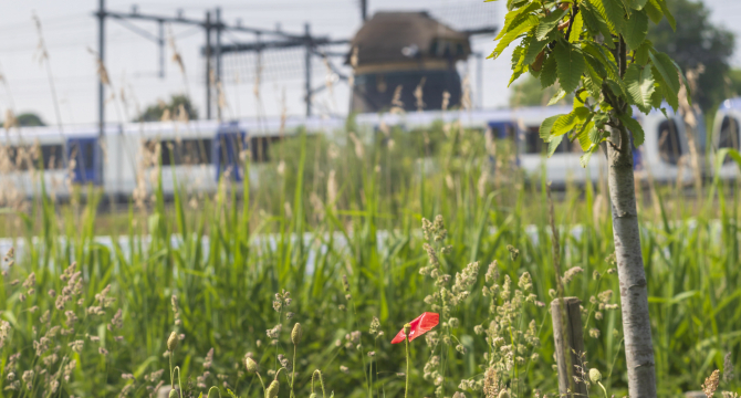 De compostbakkers aan het werk